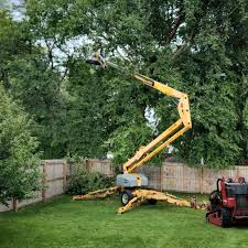Best Leaf Removal  in Hackettstown, NJ