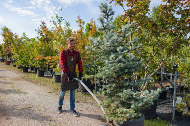 Best Soil Testing and Treatment  in Hackettstown, NJ